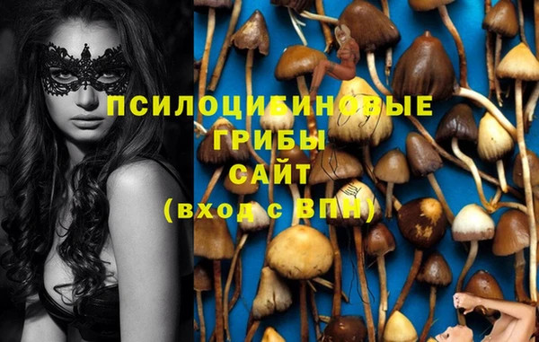 не бодяженный Арсеньев