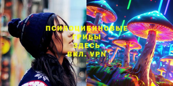 не бодяженный Арсеньев